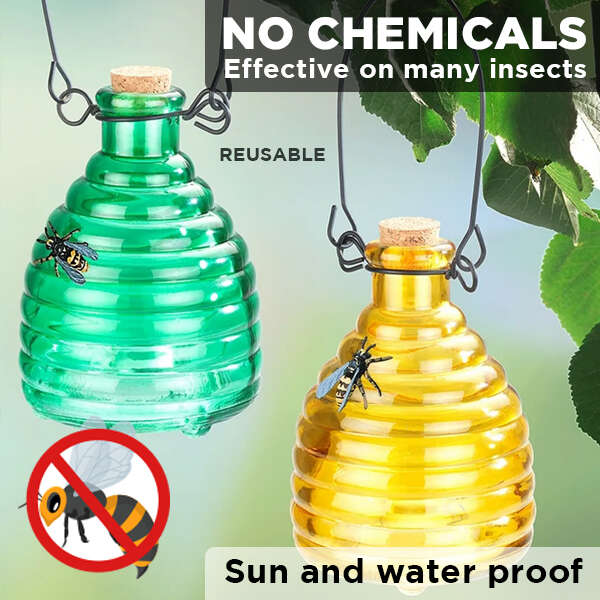 product image: Üvegdarázscsapda