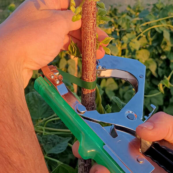 product image: Egy készlet 5 db kerti szerszámból