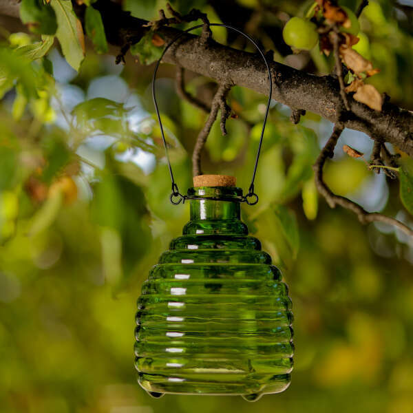 product image: Üvegdarázscsapda