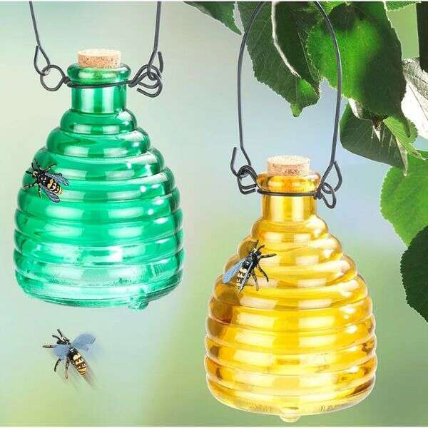 product image: Üvegdarázscsapda